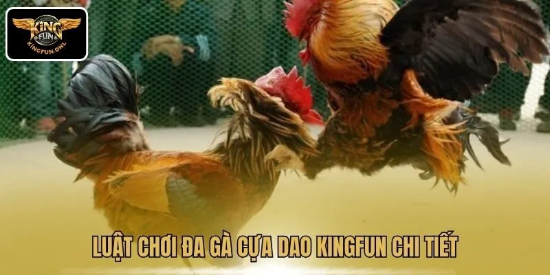 Trải Nghiệm Đá Gà Cựa Dao Hấp Dẫn Tại Kingfun 3 Luật chơi đa gà cựa dao Kingfun chi tiết