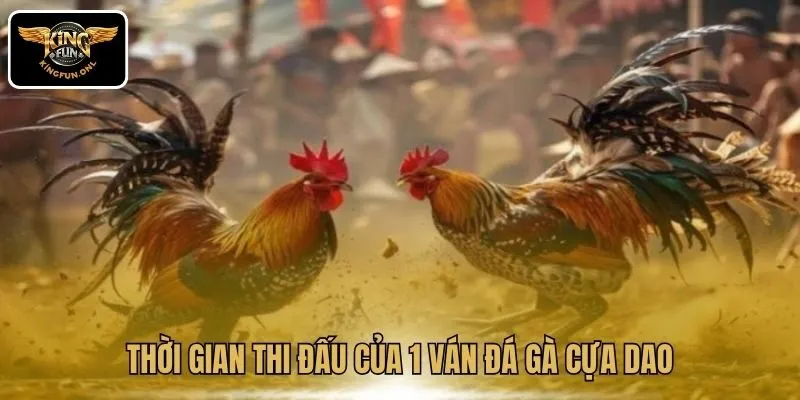 Trải Nghiệm Đá Gà Cựa Dao Hấp Dẫn Tại Kingfun 4 Thời gian thi đấu của 1 ván đá gà cựa dao